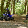 Yamaha Raptor 110