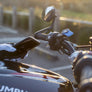 Quad Lock Motorcycle Handle Bar Mount