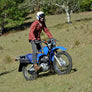 Yamaha AG200