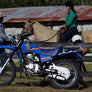 Yamaha AG200