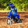 Yamaha TTR110