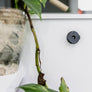 ADHESIVE WALL MOUNTS TWIN Q LOCK