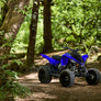 Yamaha Raptor 110