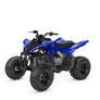 Yamaha Raptor 110