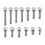 QUAD LOCK Replacement Screw Set - V2